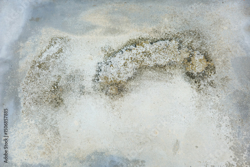 Weathered concrete surface with mold, mildew, and white powdery efflorescence.