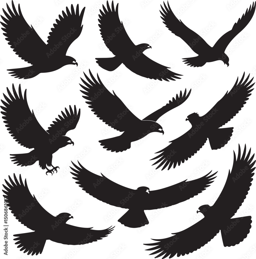 Obraz premium Black Silhouette Vector Set of 10 Birds of Prey in Dynamic Poses
