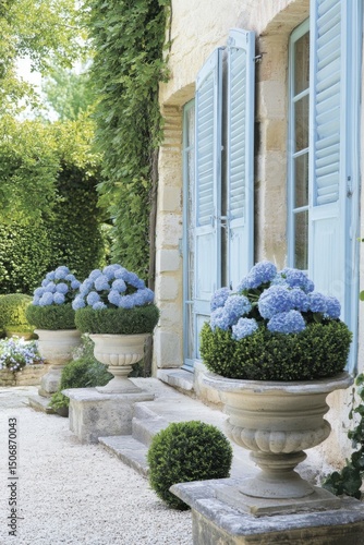 In a tranquil garden bathed in daylight, stunning hydrangea flowers bloom vibrantly in elegant stone planters next to a delightful house adorned with charming blue shutters