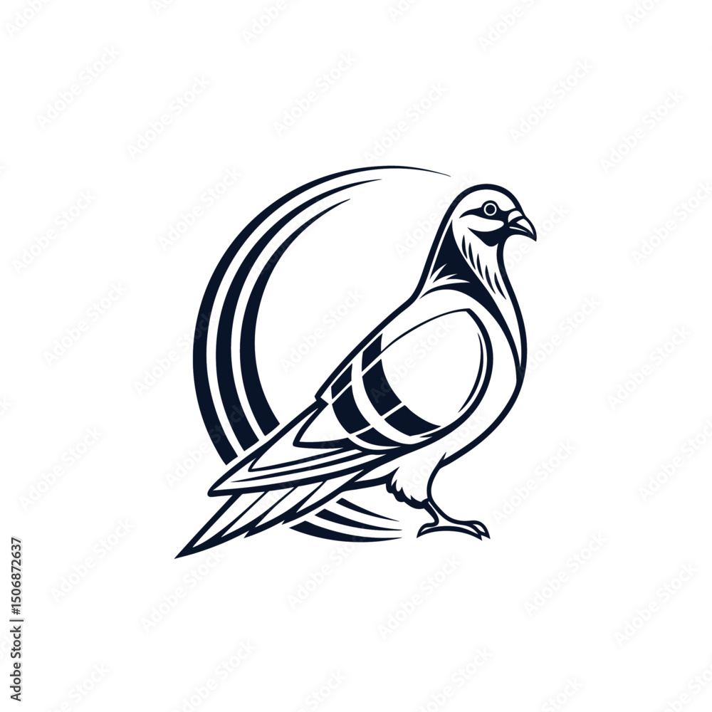 Fototapeta premium Pigeon