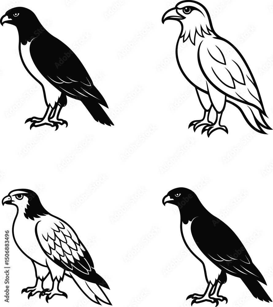 Fototapeta premium set of birds silhouette