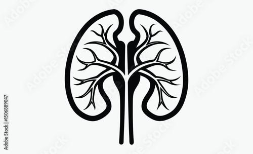 Human Kidney Silhouette Icon