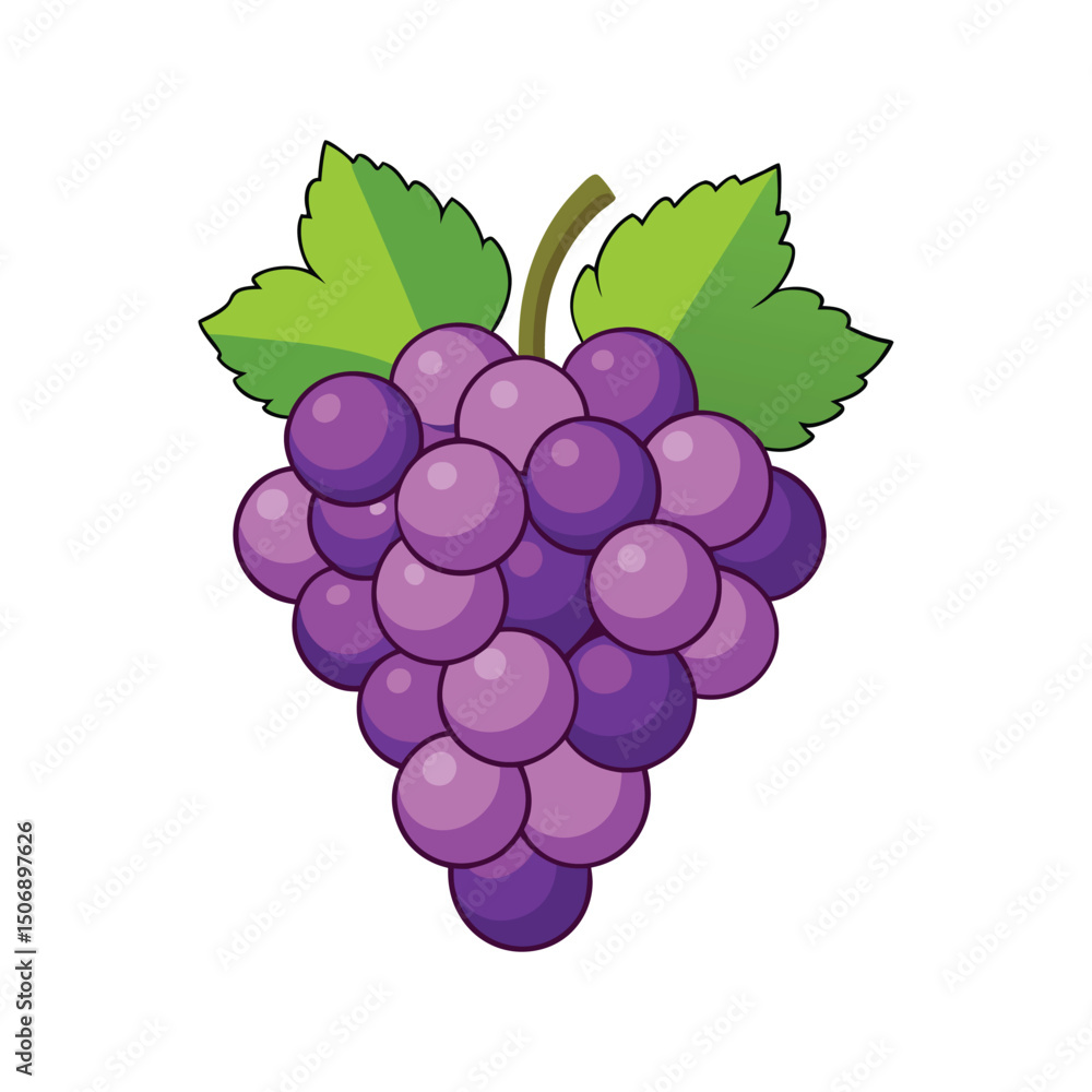 Fototapeta premium grapes.eps