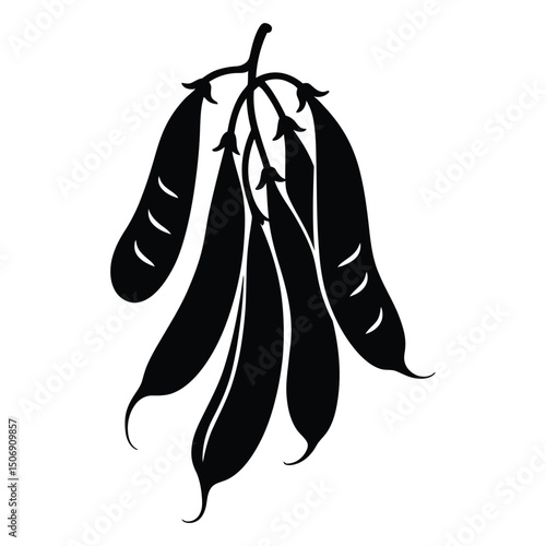 Lima Bean Pod Silhouette, Vector, Illustration, Icon, Logo, White Background.
