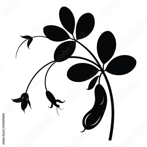 Peanut Plant Silhouette, Vector, Illustration, Icon, Logo, White Background.