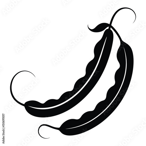 Runner Bean Scarlet Silhouette, Vector, Illustration, Icon, Logo, White Background.