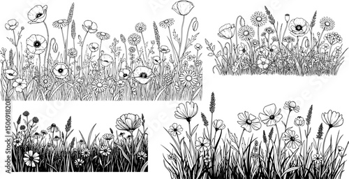 Modern illustration of hand drawn wild flowers in a field sketch