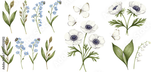 Anemone flowers, blue forget-me-nots, delicate lotuses, green blades of grass and leaves, wild flowers. Botanical set for holidays and wedding industry, various packaging and cards,