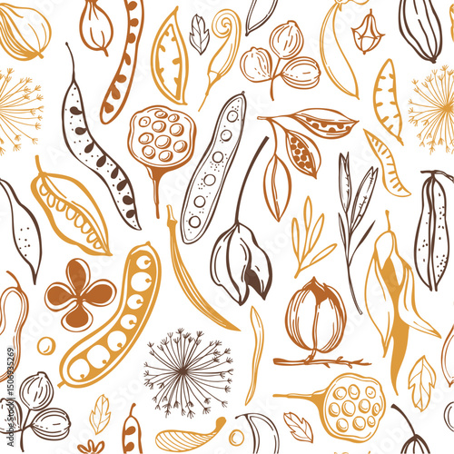 Botanical seamless vector pattern with hand-drawn seedpods. Sketch  illustration.
