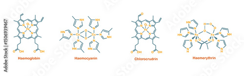 Chemical structure of blood. Haemoglobin, haemocyanin, chlorocrudin, and haemerythrin.