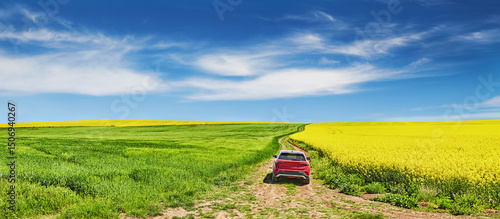 Panoramic landscape with yellow field and red car