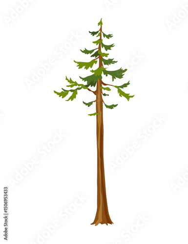 Kind of tree icon, pine. Coniferous plant. Green crown with conifers and natural brown trunk and branches. Vector cartoon illustration
