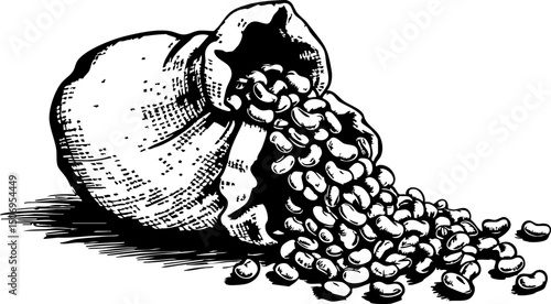 Spilling raw beans kitchen counter rustic top-down culinary art