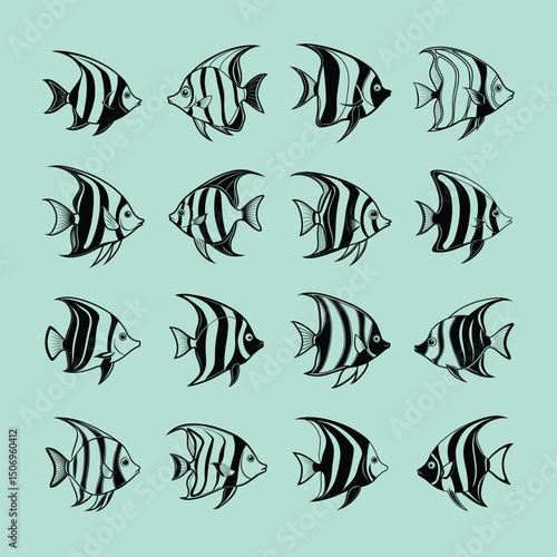 aquarium Angelfish line art vector illustration