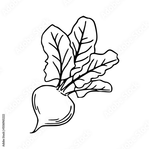 healthy food simple line drawing