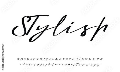 signature Font Calligraphy Logotype Script Brush Font Type Font lettering handwritten