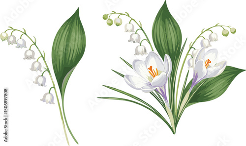 Bouquet of white crocuses, delicate lilies of the valley and green leaves. Botanical watercolor illustration for spring designs, wedding invitations, greeting cards, branding, packaging, textiles