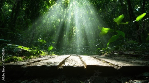 The enchanting rays of sunlight pierce through the dense foliage of a vibrant forest, creating a mystical ambiance that invites viewers to explore nature's beauty and serenity.