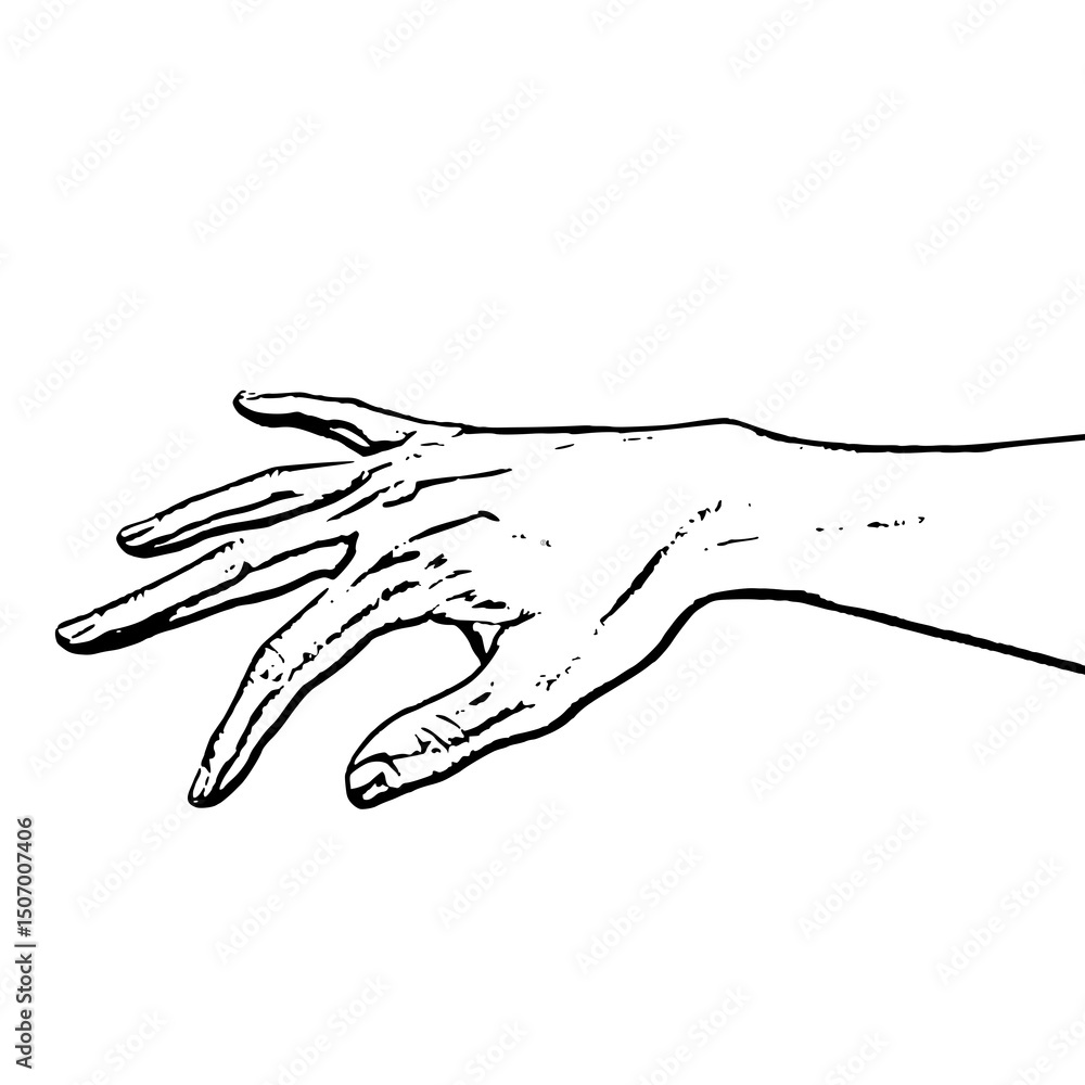 Elegant Hand Drawing Line Art Illustration of a Reaching Hand Elegant Hand Drawing Line Art Illustration of a Reaching Hand