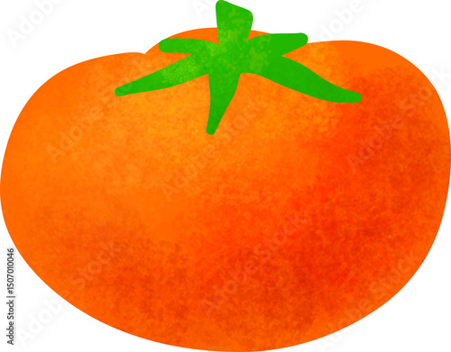 Pastel tomato vegetable illustration