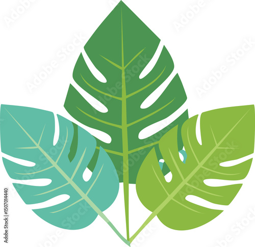 Vector Flat Design of Monstera Leaves with Fenestrations in Modern Symmetrical Layout