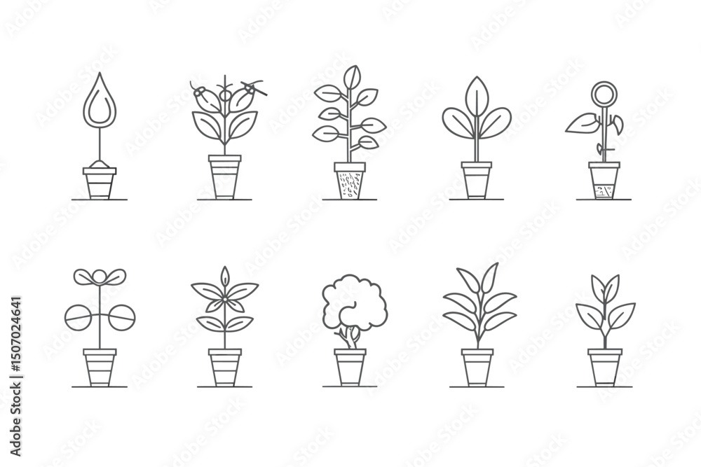Plants line icons. Mint leaf, Growing plants and Humidity thermometer icons. Bottle with mint water, Nature care, leaf on hand. Gardening new flower, environment, water drop and thermometer. Vector Plants line icons. Mint leaf, Growing plants and Humidity thermometer icons. Bottle with mint water, Nature care, leaf on hand. Gardening new flower, environment, water drop and thermometer. Vector