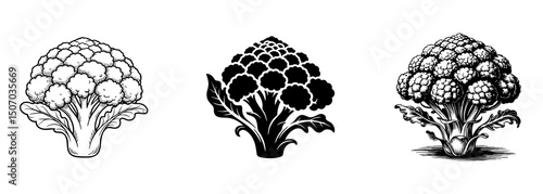 set of romanesco broccoli , fractal cauliflower vegetable vector, healthy food and agricultural harvest
