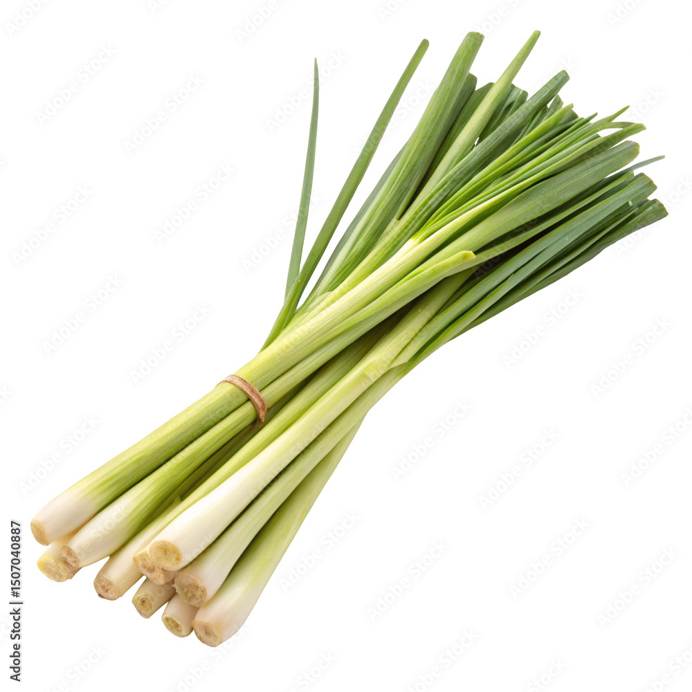 Fototapeta premium Lemongrass fragrant herb stalks isolated on white background showing fresh natural green tone and form 