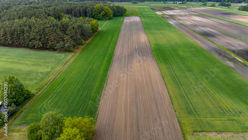 spring fields in poland