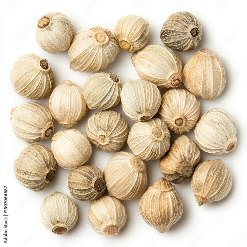 Collection of dried seeds showcasing unique textures and colors. Collection of dried seeds showcasing unique textures and colors.