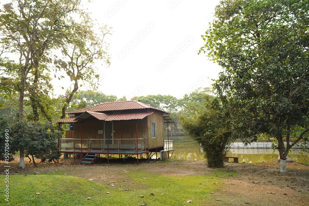 house in the woods house in the woods