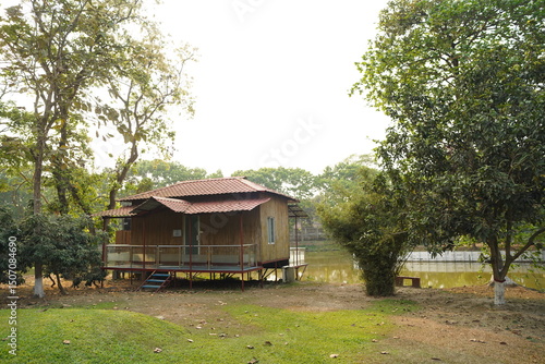 Wallpaper Mural house in the woods Torontodigital.ca