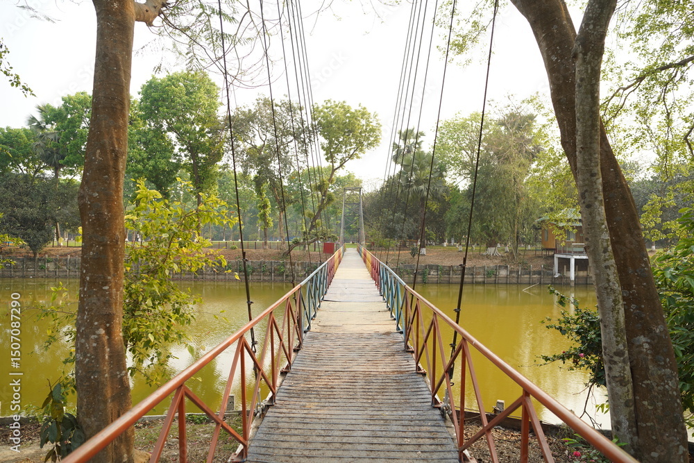 Obraz premium The Wonders of Hanging Bridges
