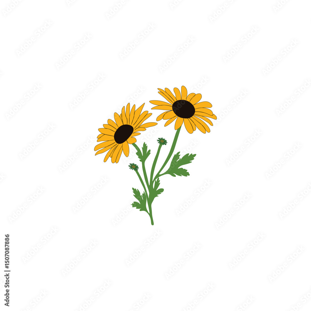 Obraz premium Colorful flower 