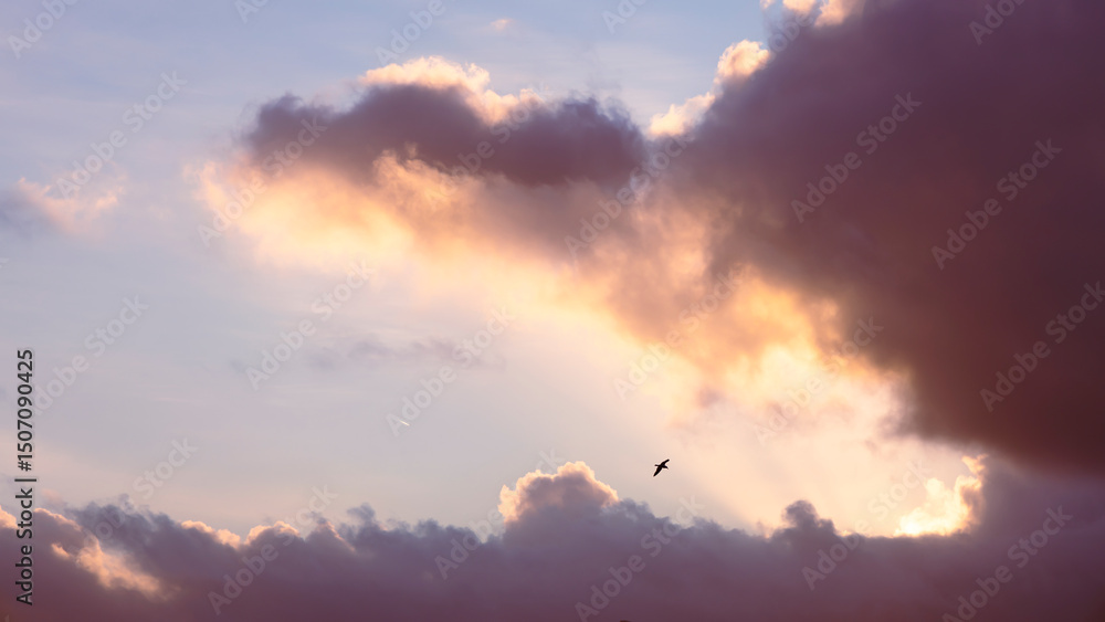 Orange sunset and dramatic clouds on the ocean shore Orange sunset and dramatic clouds on the ocean shore