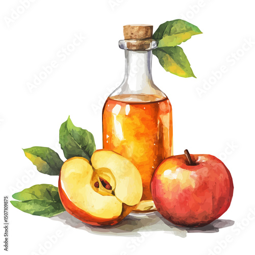 My Watercolor illustration, illustration apple cider vinegar painting illustration isolated on a white background, illustration, AI painting design, vector illustration set, eps format