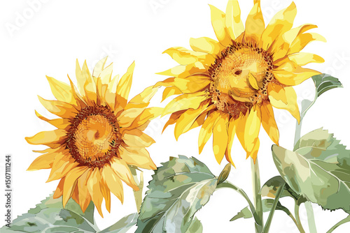 Watercolor hand-painted sunflower elements set, Autumn arrangement, Farmhouse rustic fall decor, harvest Thanksgiving clipart. Birthday summer card. Realistic botanical art