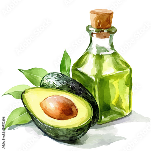 My Watercolor illustration, sliced avocado and avocado oil bottle painting illustration isolated on a white background, illustration, AI painting design, vector illustration set, eps format