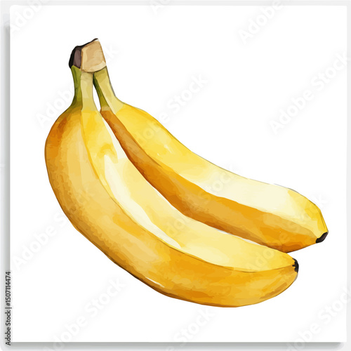 My Watercolor illustration, banana painting illustration isolated on a white background, illustration, AI painting design, vector illustration set, eps format