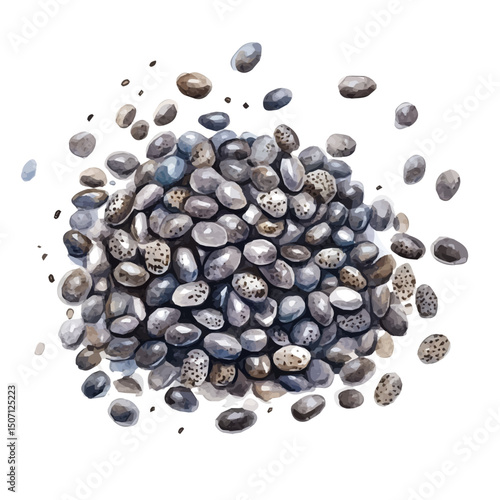 My Watercolor illustration, illustration chia seeds painting isolated on a white background, illustration, AI painting design, vector illustration set, eps format