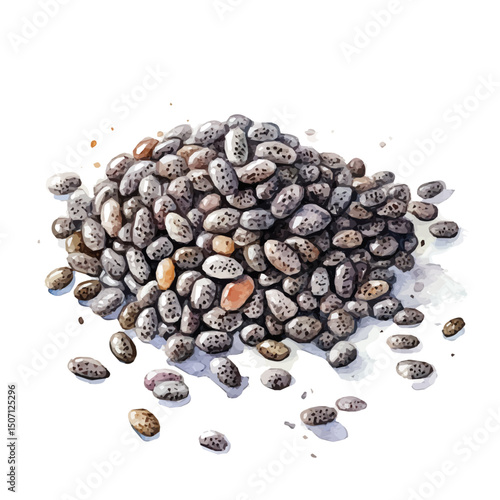 My Watercolor illustration, illustration chia painting isolated on a white background, illustration, AI painting design, vector illustration set, eps format
