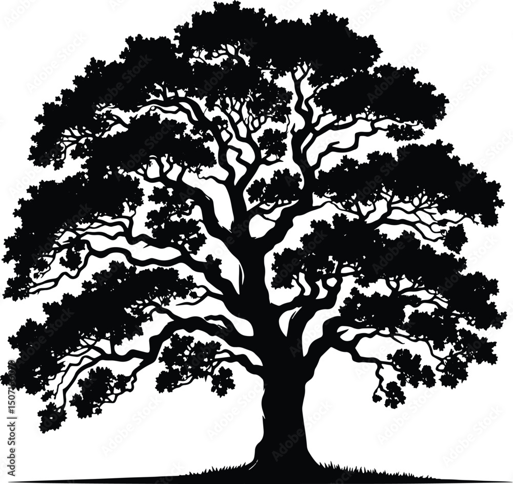 Fototapeta premium Oak tree vector silhouette illustration isolated on a white background