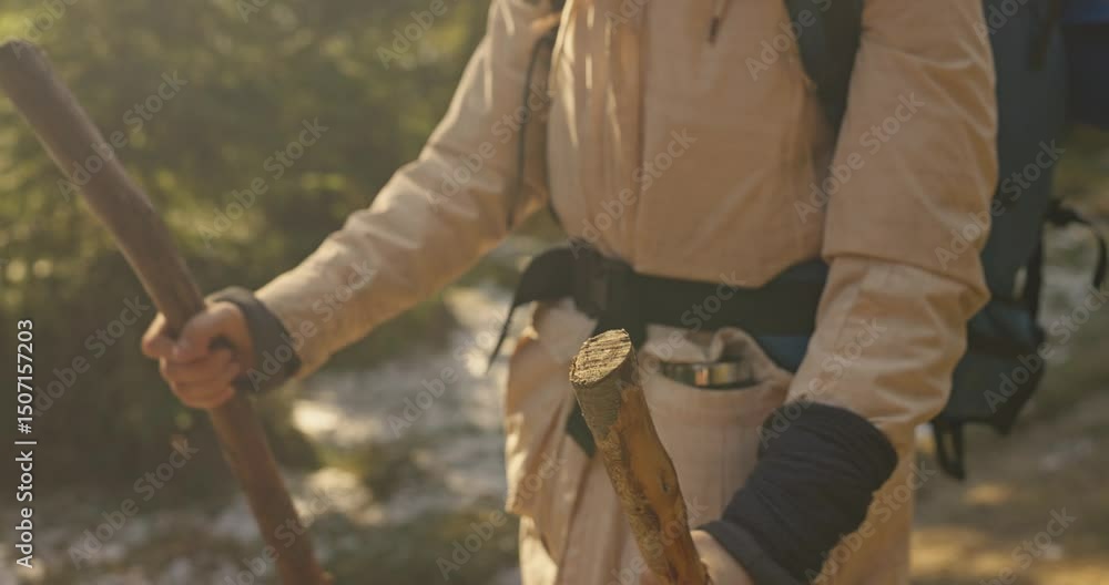 Close up of a person in hiking clothes with a backpack using wooden poles during his hike in the sunny forest in winter. Travel to the forest in winter