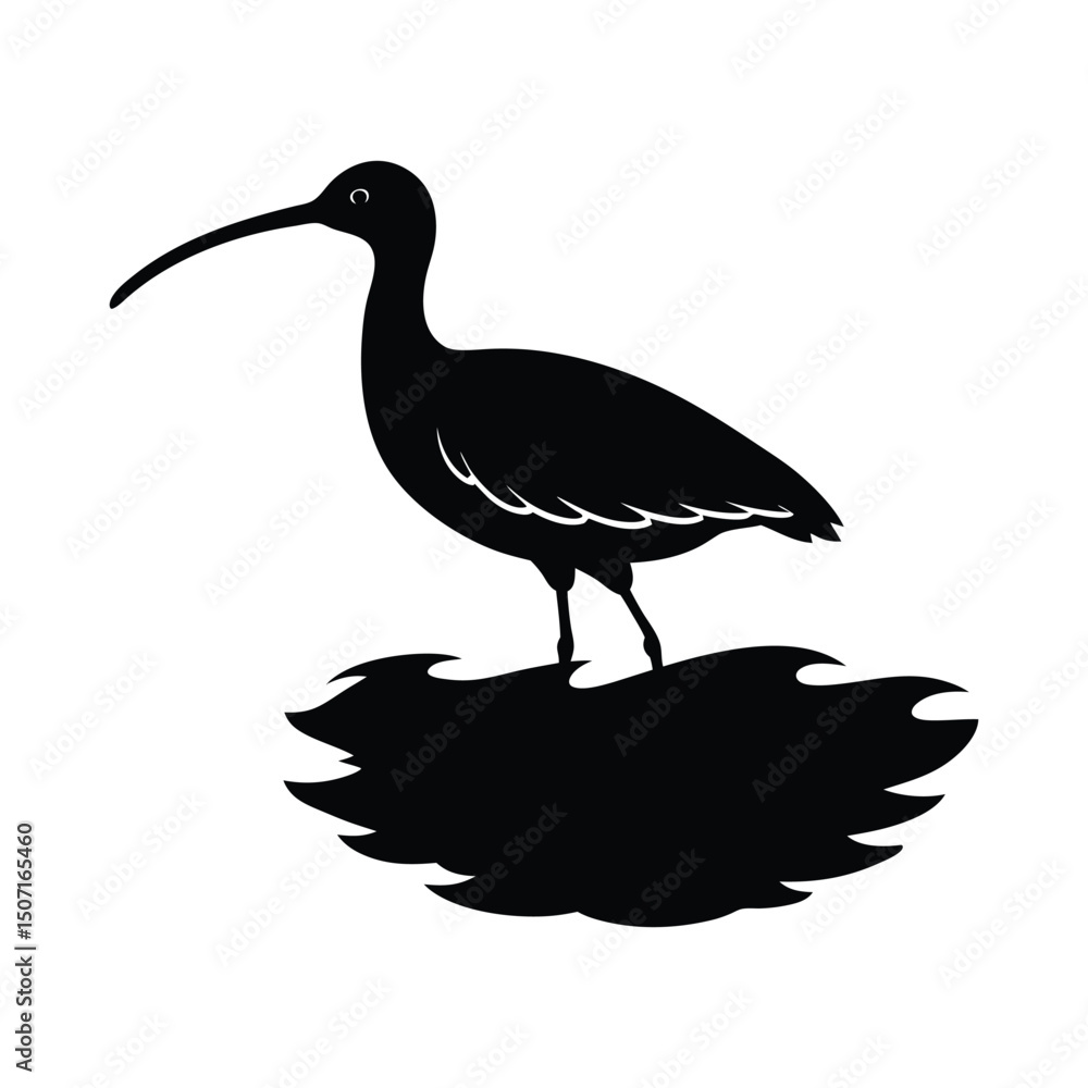 Fototapeta premium Curlew in Tidal Pool Vector Silhouette