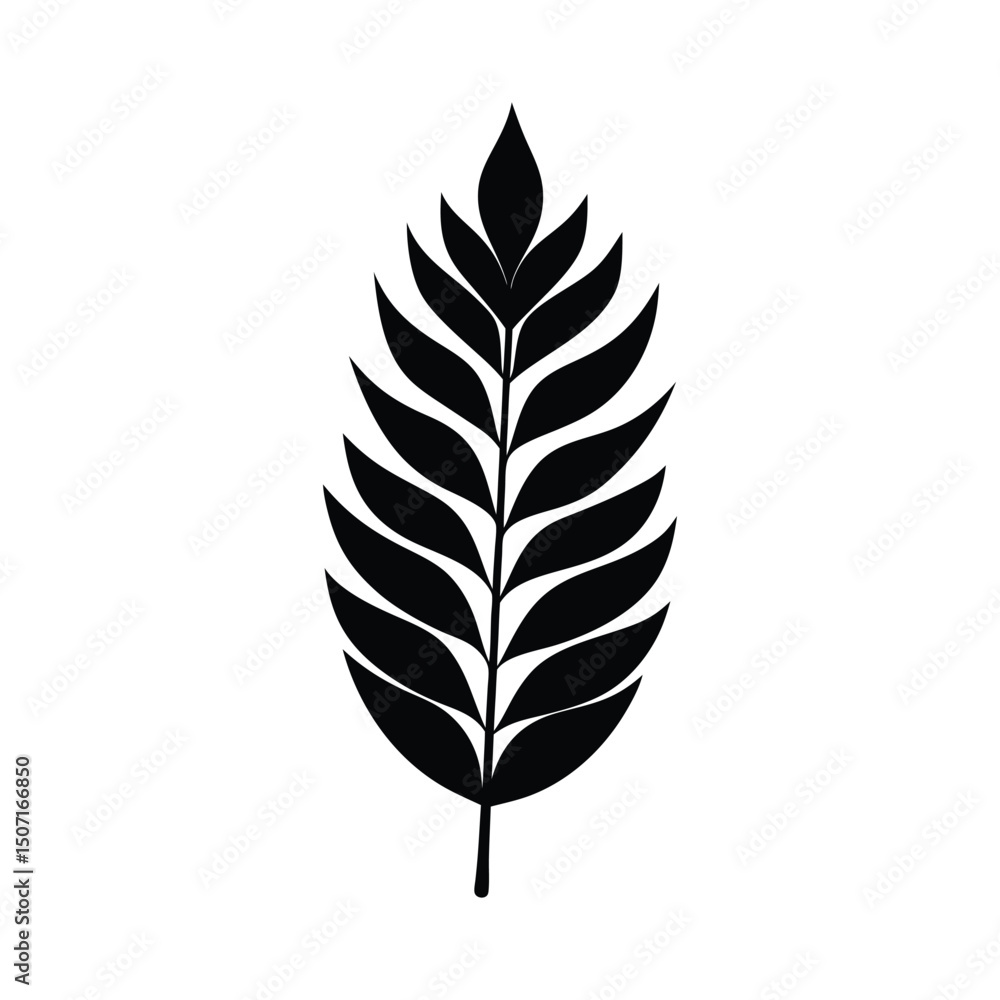 Minimalist Acacia Leaf Vector Silhouette Minimalist Acacia Leaf Vector Silhouette