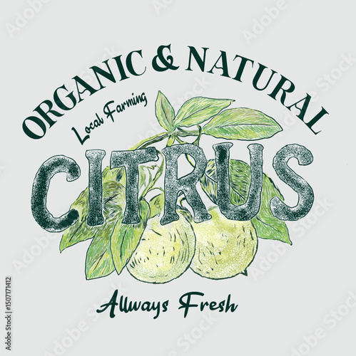 Organic  natural Citrus Slogan text print design, vintage lemon grunge, orange juice vintage retro summer print, its a fruit print, organic tasty fresh juice, retro vintage orange artwork for t shirt