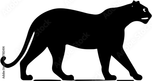 Photography silhouette of a leopard
