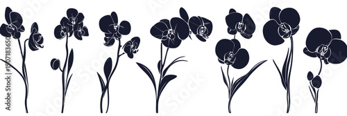 Black silhouette orchid flowers with stems and leaves isolated on white background minimalist floral vector illustration set design elements for decoration and patterns