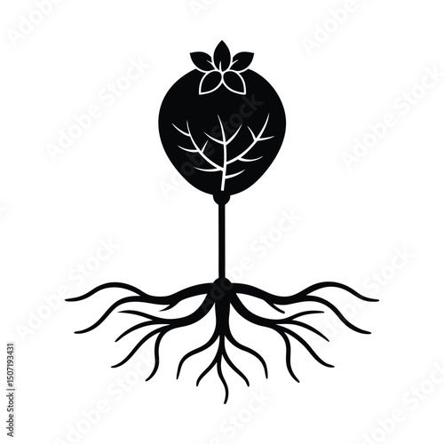 Dog Rose seed with roots extending into moist soil on white background
