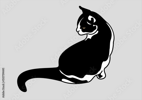 vector illustration of a  black and white cat